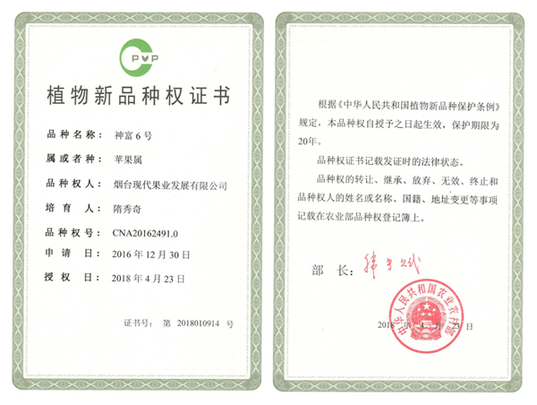 神富6号植物新品种权证书